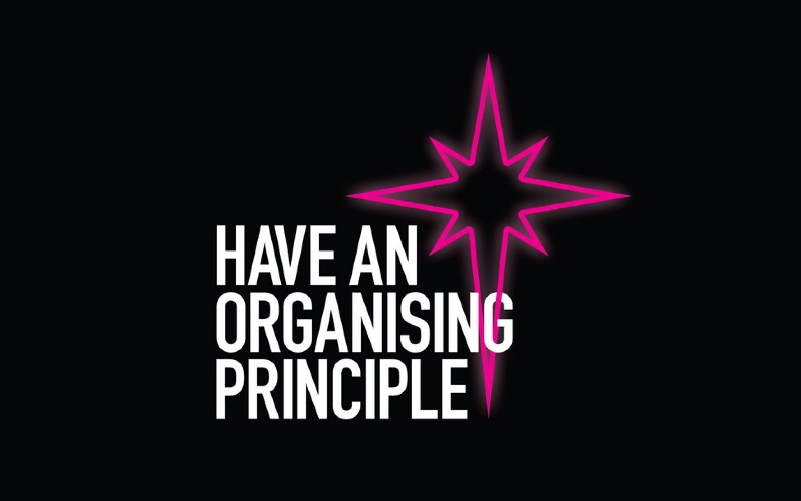 Organizační princip