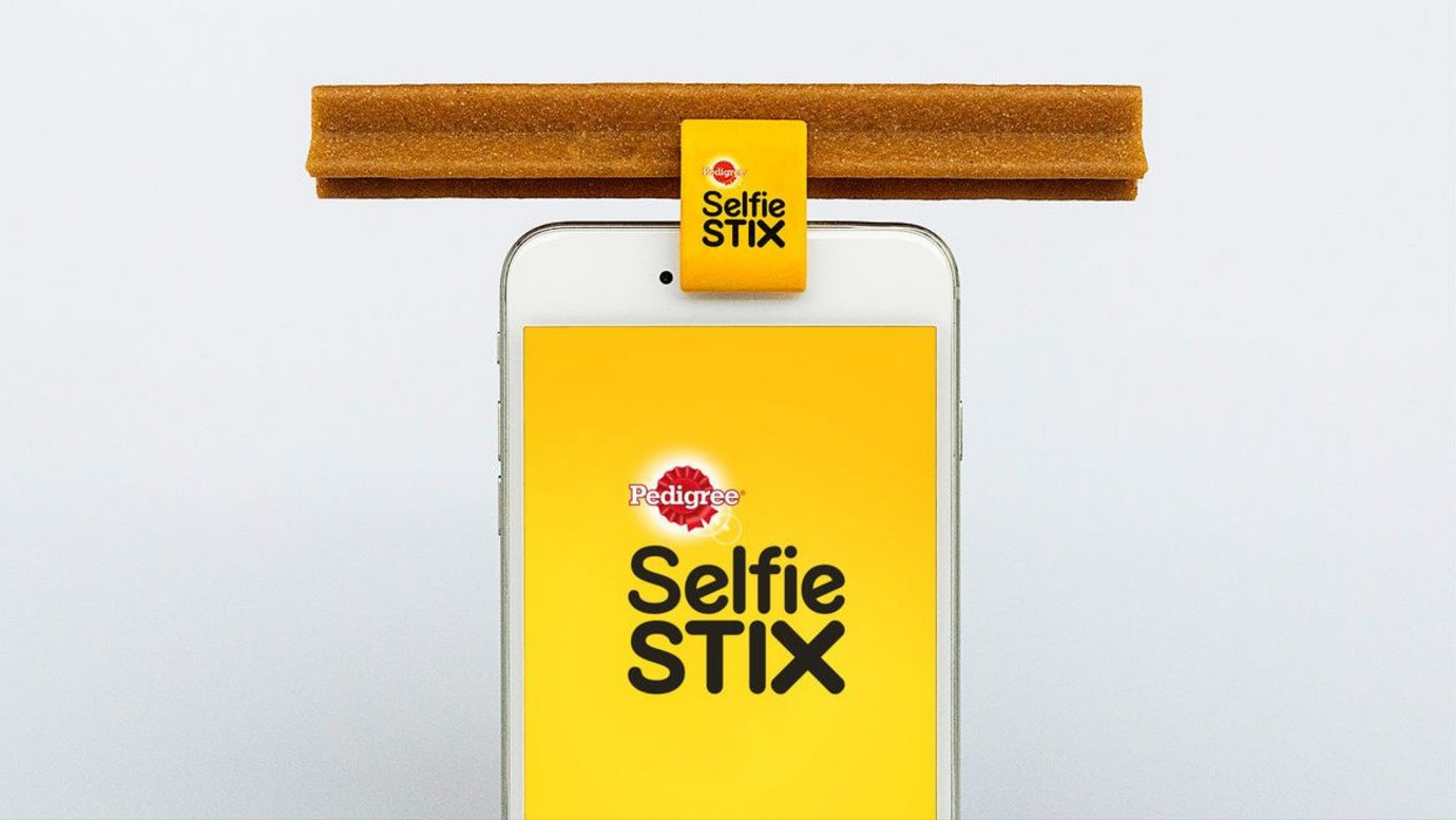 Insight & Strategy: SelfieStix