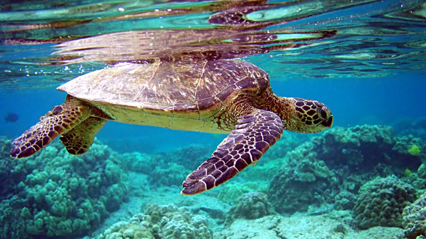 Šest (ne)reklamních věcí, které nás v roce 2018 dostaly