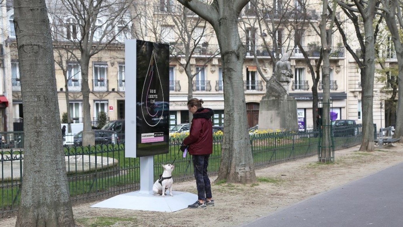 Kampaň týdne: Purina, Pouliční Veterinář