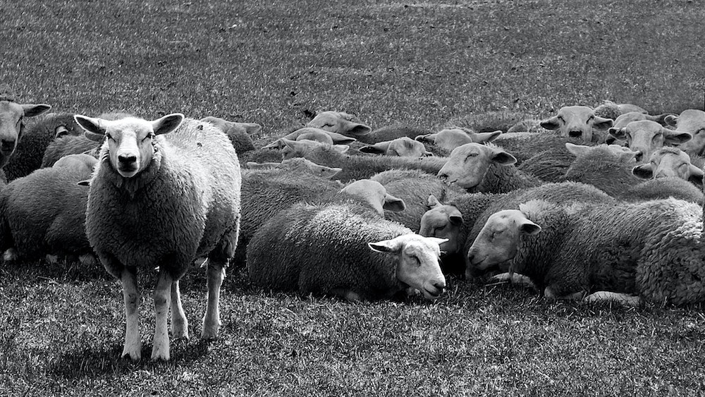 Prudce klesající odlišnost jako důkaz, že značka „upadá v zapomnění“