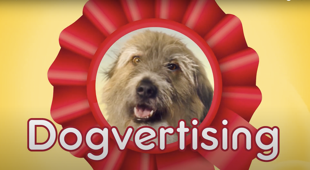 Kampaň od Pedigree respektuje GDPR a necílí na páníčky, ale přímo na psy