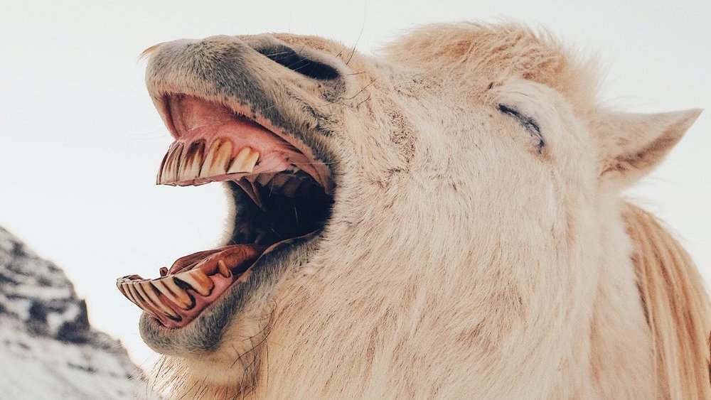 Proč vážné časy volají po vtipné reklamě