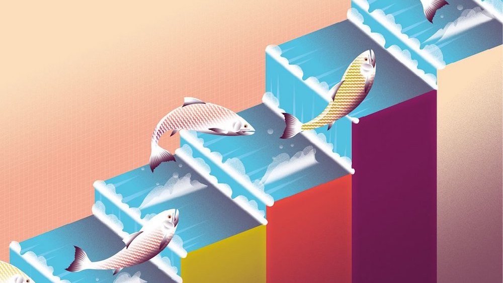 Jonny Bauer z Blackstone o přechodu z reklamy do soukromého kapitálu